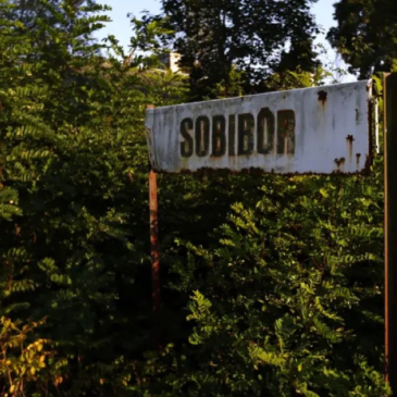 Archaeology of the Holocaust: Unearthing Physical Evidence at Sobibor